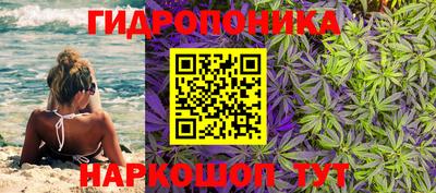 стаф Краснодар