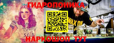 стаф Краснодар