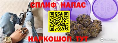 стаф Краснодар