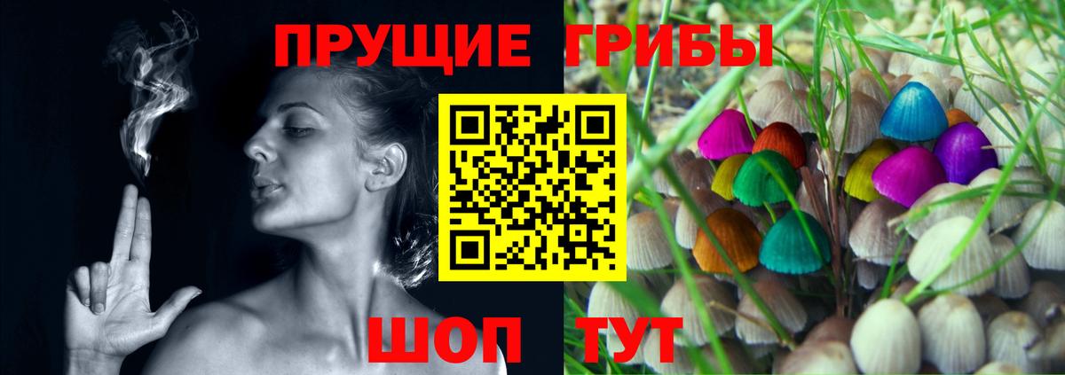 Кимовск  Галлюциногенные грибы Magic Shrooms  Вход с VPN  Псилоцибиновые грибы Magic Shrooms 
