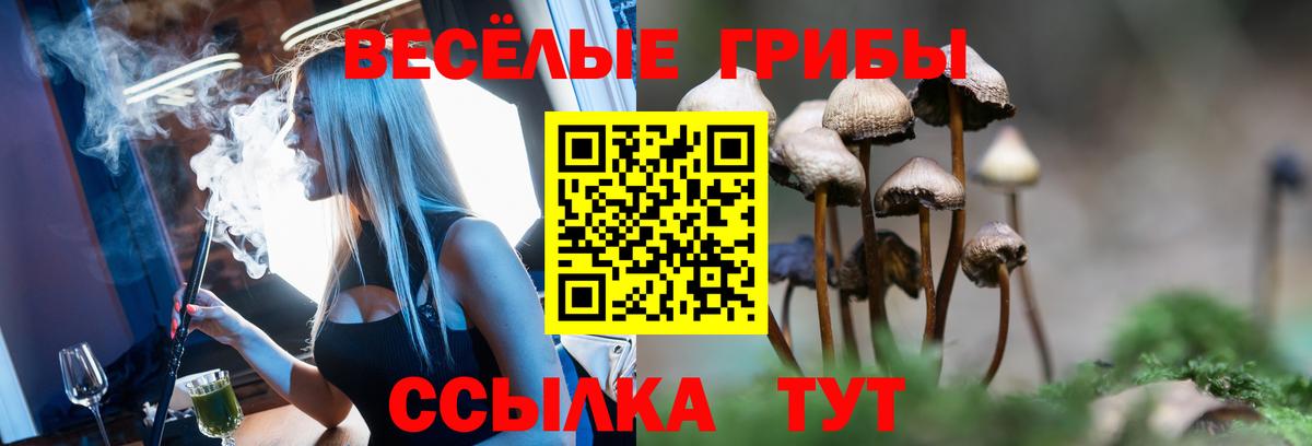 Псилоцибиновые грибы Cubensis Кимовск